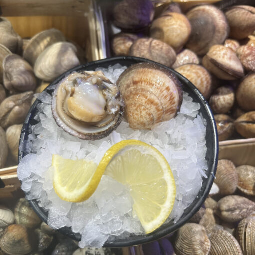 Amande de Mer