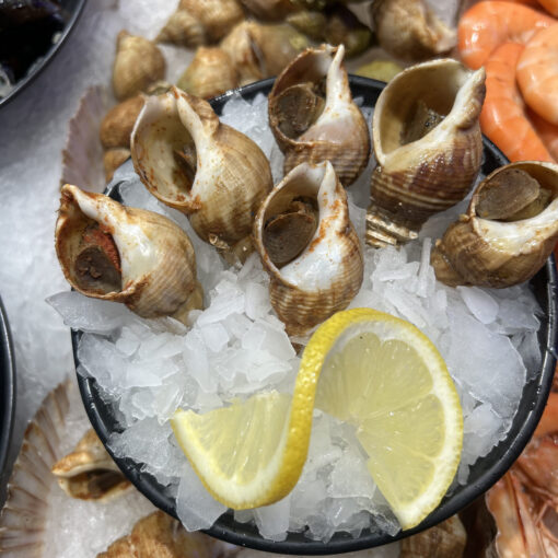 Bulot Cuit à la Provençale